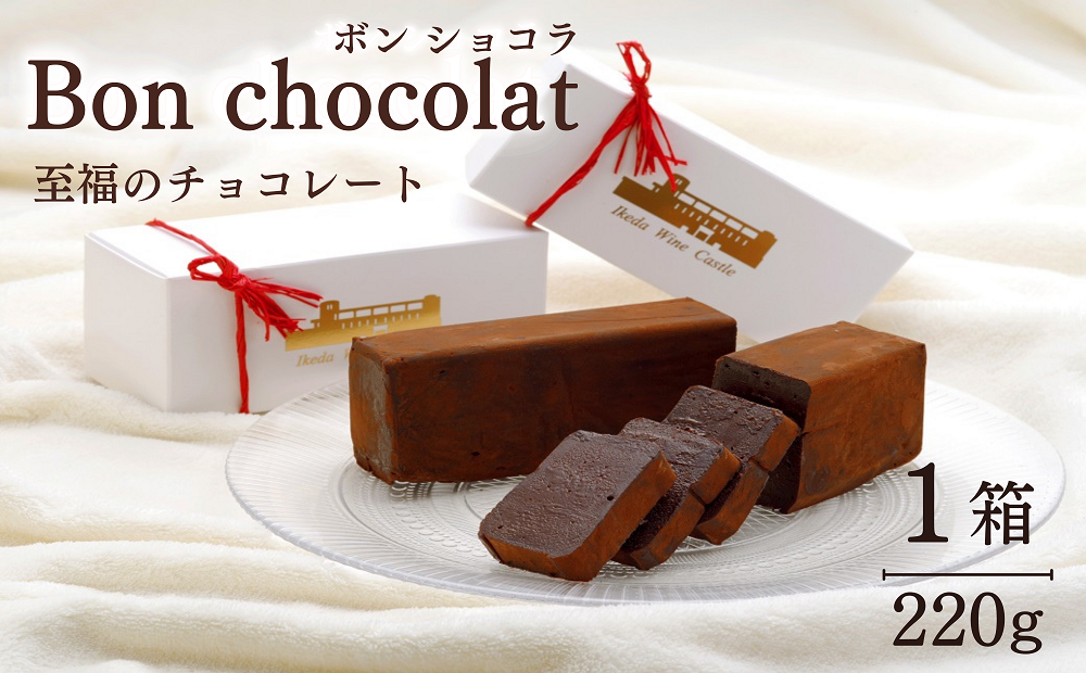 ボンショコラ チョコレート  ケーキ ハーフ 1箱 チョコ バレンタイン ケーキ チョコレート Bon chocolat