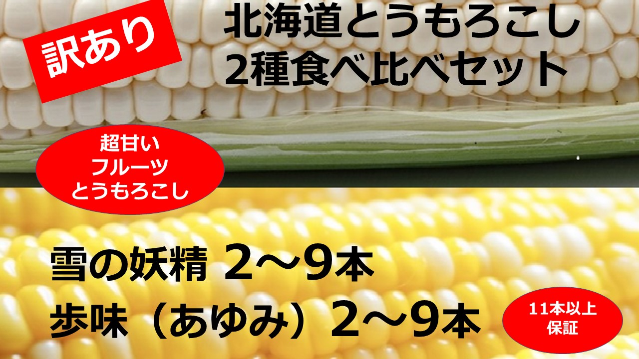 訳あり 北海道 とうもろこし 2種類 合計11～12本 食べ比べセット 雪の妖精（ホワイトコーン）2～9本、あゆみ（歩味、バイカラー）2～9本 期間限定 数量限定 トウモロコシ