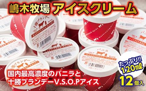 国内最高濃度バニラと十勝ブランデーVSOPアイス12個セット