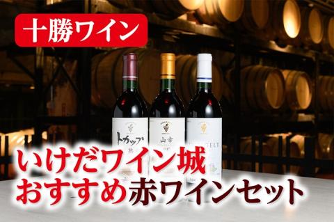 いけだワイン城おすすめ赤ワインセット