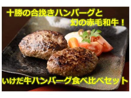 北海道十勝合挽きハンバーグといけだ牛100％ハンバーグ食べ比べ 計4個 冷凍 小分け 池田牛 テレビで紹介 ブランド牛 牛肉 お肉 北海道牛 国産 北海道 幻の赤毛和牛