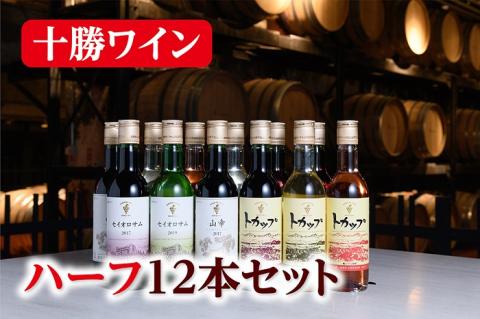 十勝ワイン ハーフボトル12本（赤・白・ロゼ）セット 360ml×12本 赤ワイン 白ワイン ロゼワイン セイオロサム 山幸 トカップ 飲み切り