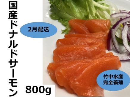 【2月中旬配送】北海道 国産ドナルドサーモン(生食用)　800g 冷凍 小分け 刺身 鮭 海鮮