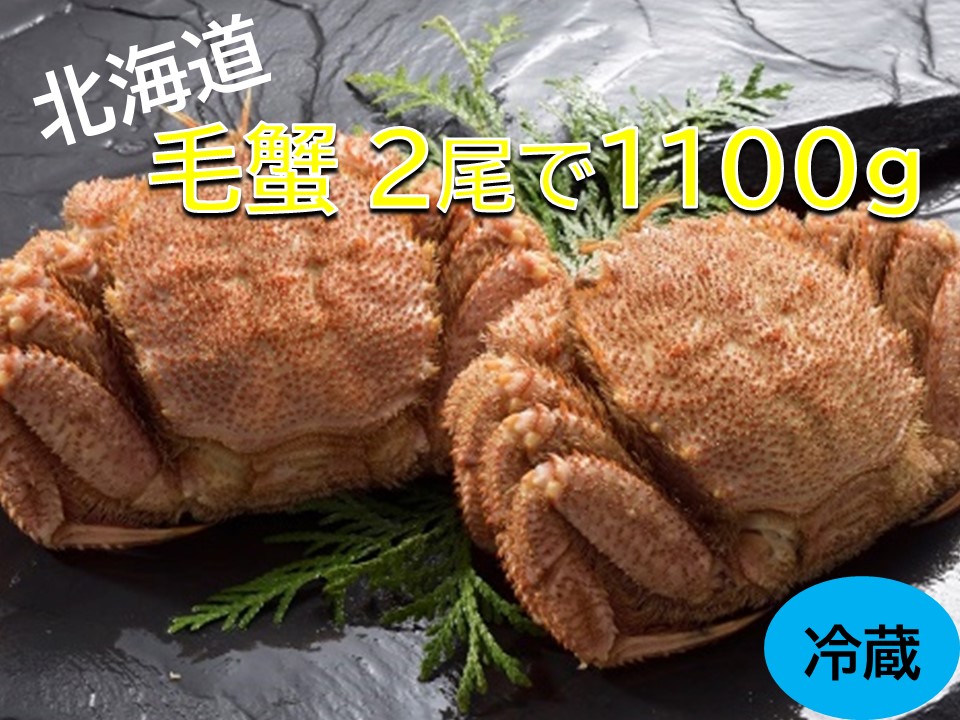 15日までのお申し込みで年内配送 活ゆで毛蟹 2尾で1100g[冷蔵]毛ガニ 毛かに 国産 北海道産