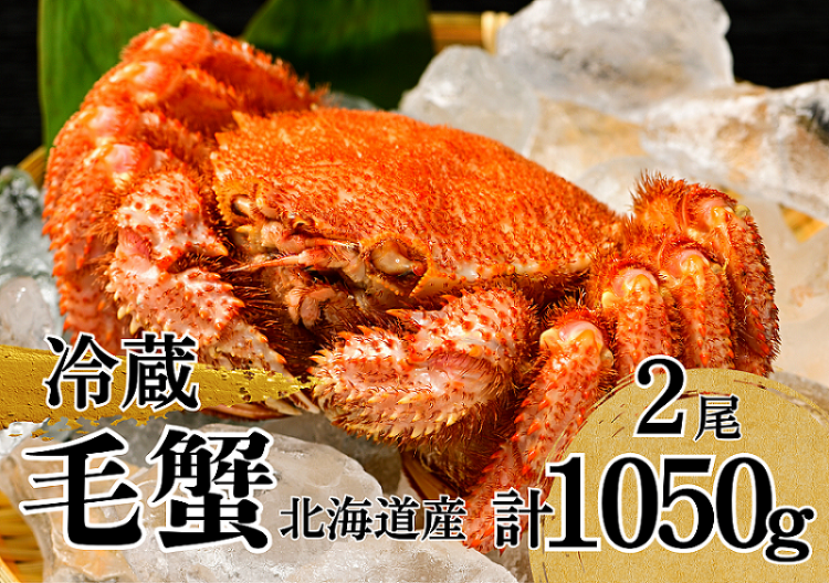 活ゆで毛蟹 2尾で1050〜1100g[冷蔵]毛ガニ 毛かに 国産 北海道産