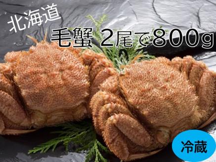 活ゆで毛蟹 2尾で800g[冷蔵]毛ガニ 毛がに