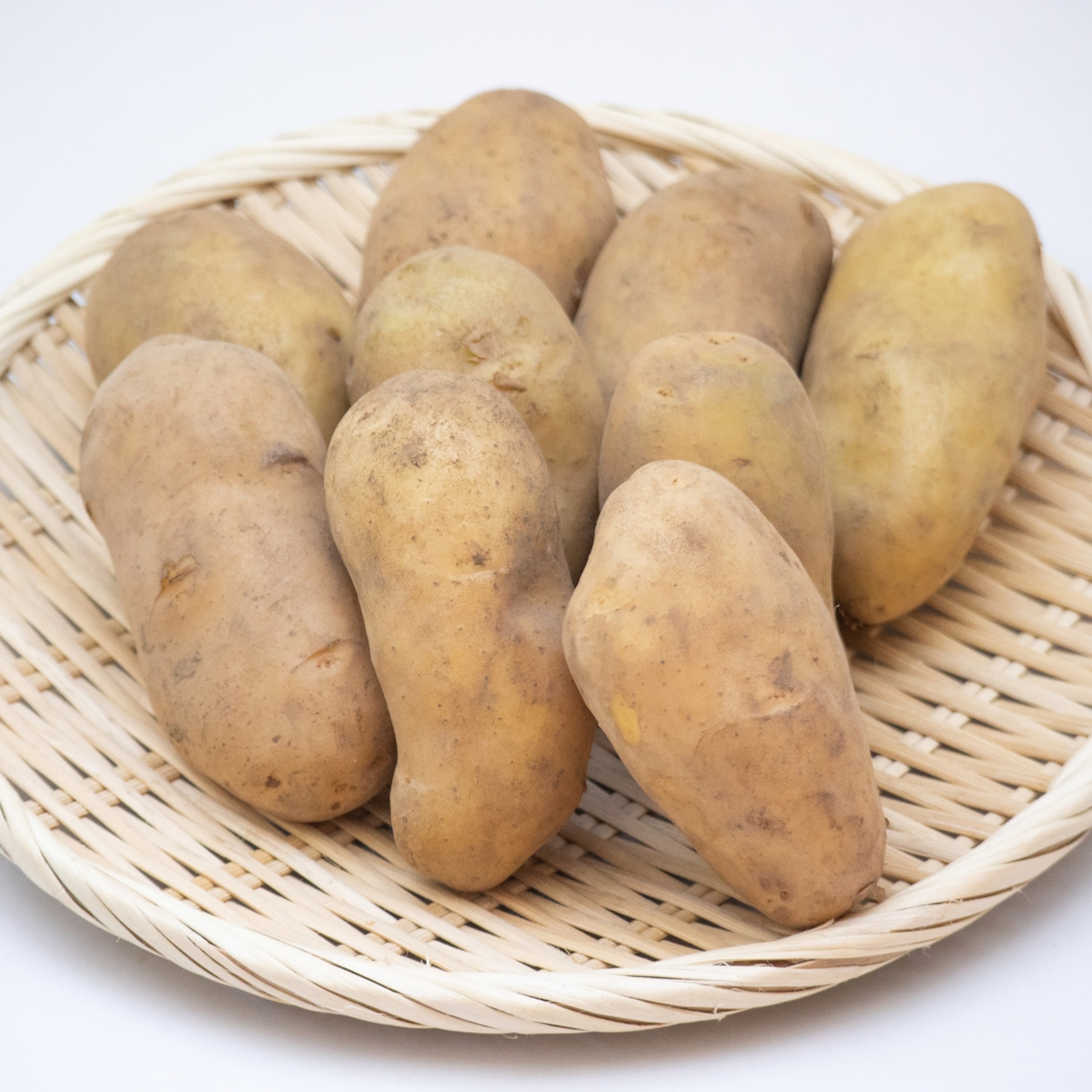 越冬十勝野じゃがいもメークイン10kg	【2026年春出荷】（先行受付）［按田農場］"北海道 十勝 豊頃町"