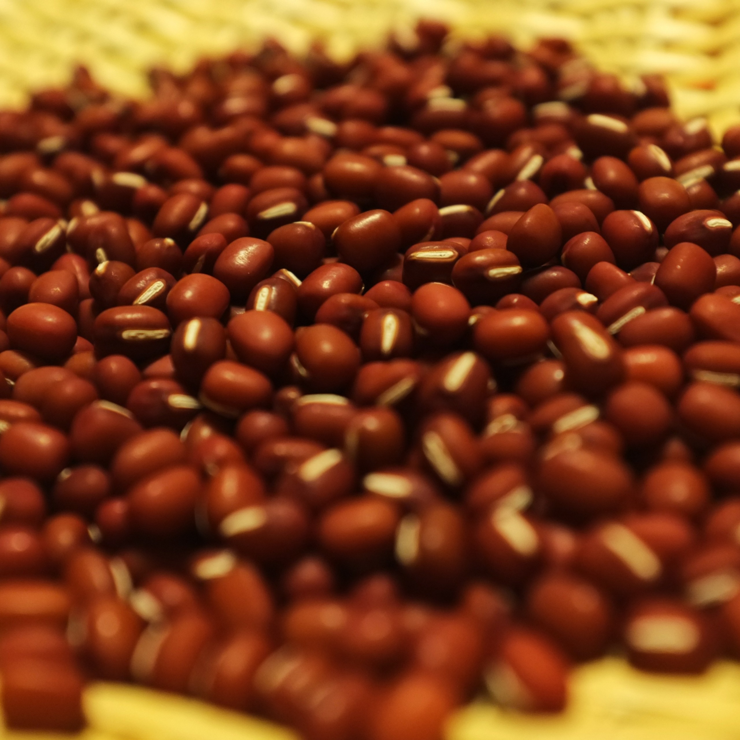 十勝豊頃産小豆1.6㎏（エリモショウズ）【2026年秋出荷】（先行受付）［松崎農場］"北海道 十勝 豊頃町"