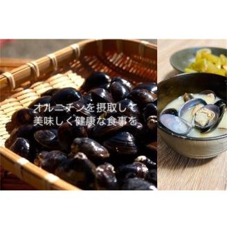 北海道豊頃産 しじみLLサイズ１㎏［北海山］"北海道 十勝 豊頃町"