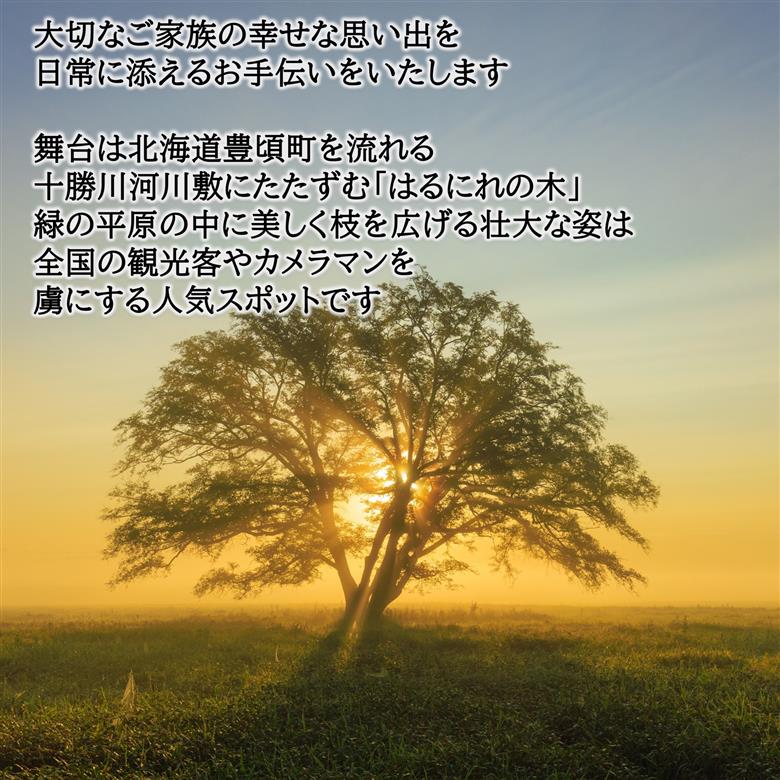 人生の幸せを日常に飾る ～アニバーサリーフォト撮影プラン～ 北海道 十勝 豊頃町 はるにれの木 結婚記念 成人記念 家族写真