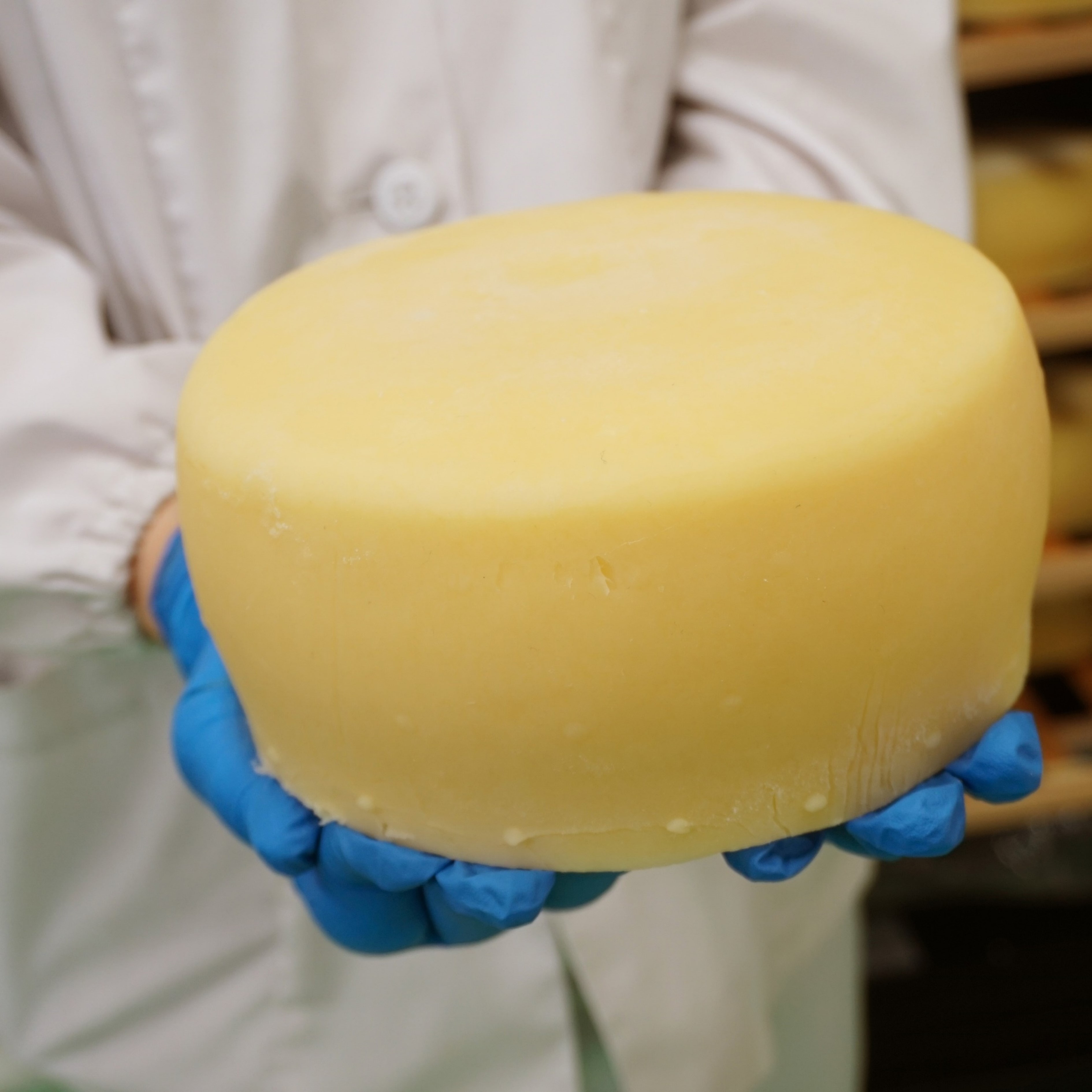 北海道 豊頃育ち まじめなチーズセット「夢みるく」手作りチーズ"北海道 十勝 豊頃町" 数量限定  送料無料