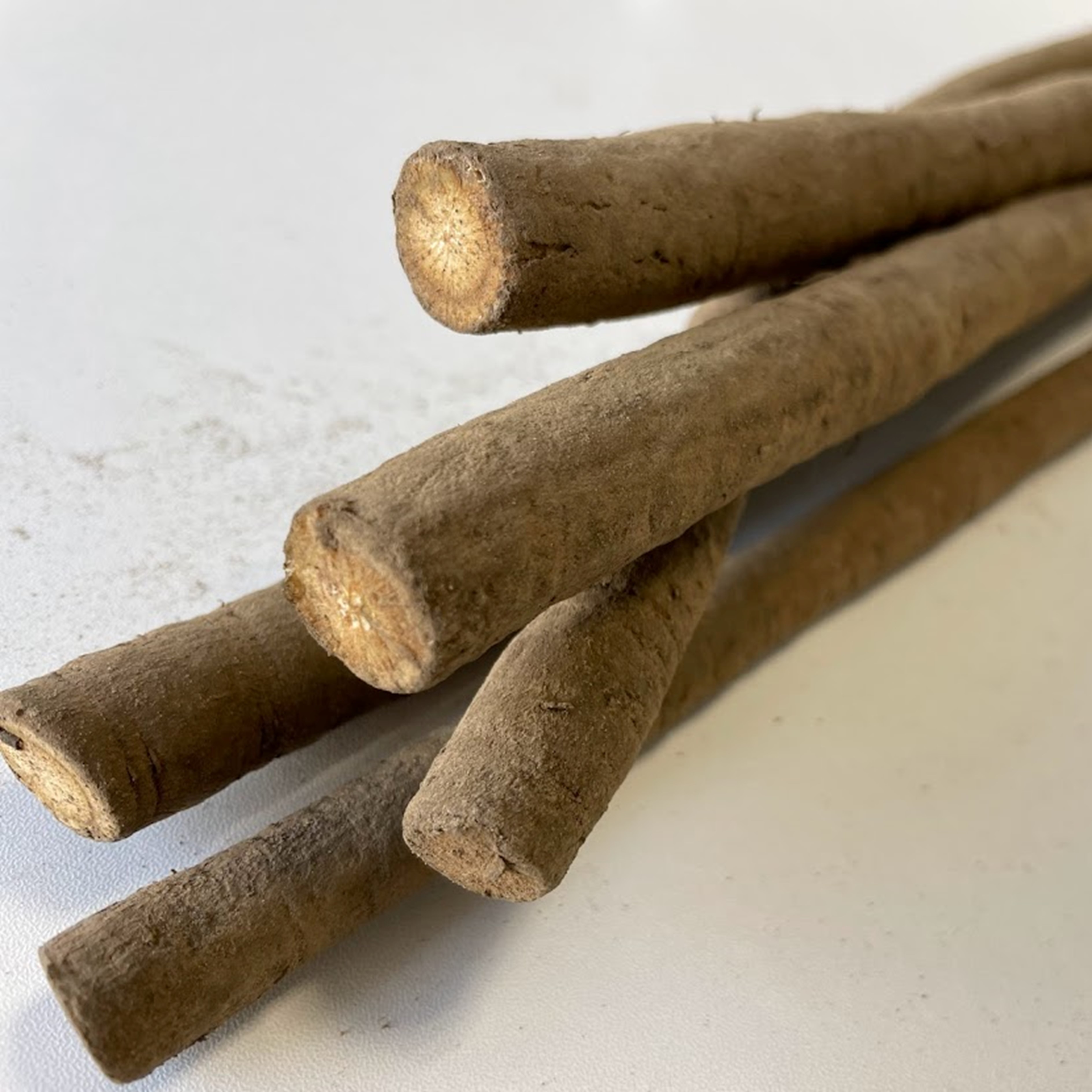 十勝豊頃産 ごぼう約8kg【2025年産】（先行受付）【工房みみずく】"北海道 十勝 豊頃町"