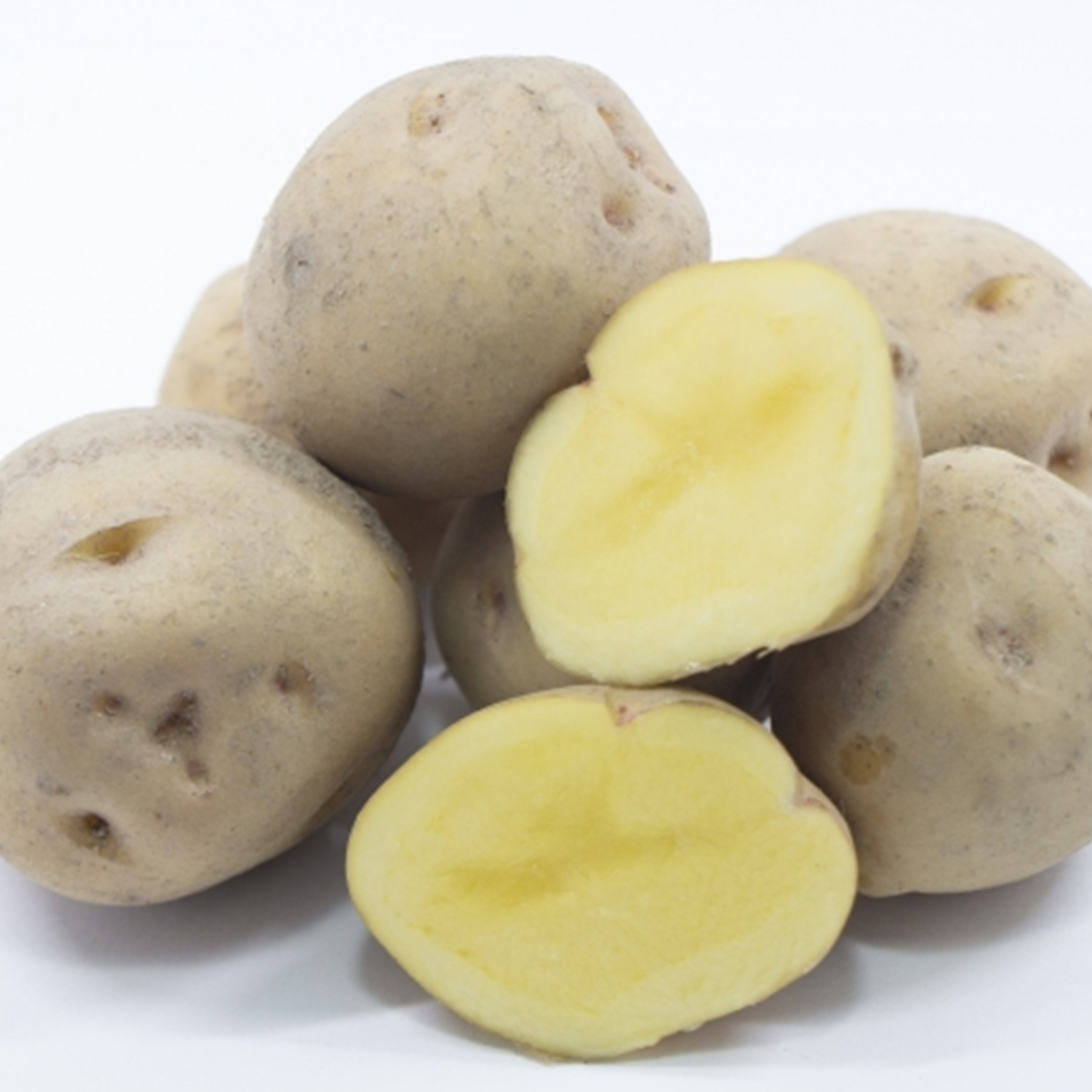 十勝野じゃがいもきたあかり10kg 【2026年秋出荷】（先行受付）［按田農場］"北海道 十勝 豊頃町"