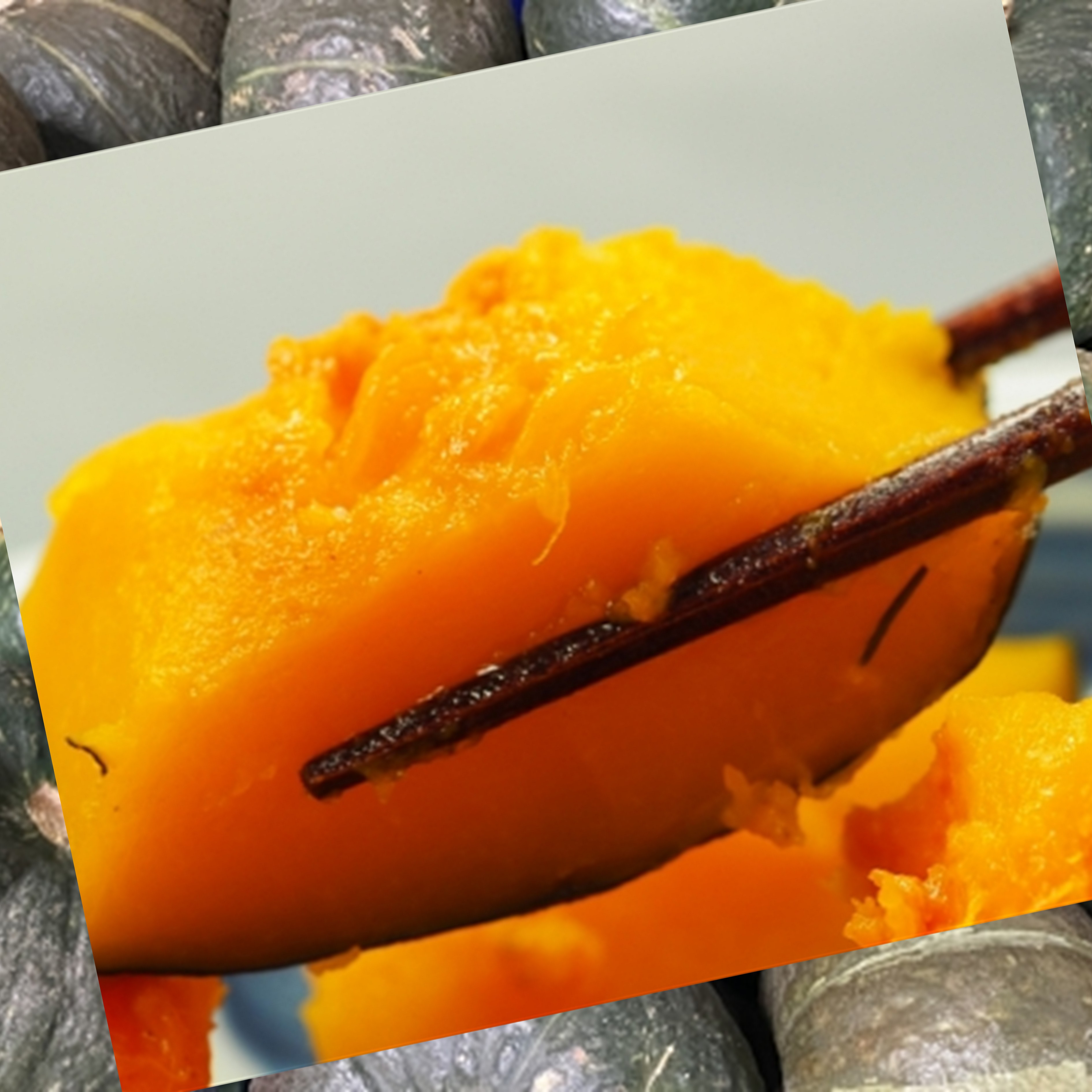 十勝の秋の味覚野菜詰め合わせ（南瓜・玉ねぎ・じゃがいも）セット【2026年秋出荷】（先行受付）】【工房みみずく】"北海道 十勝 豊頃町"