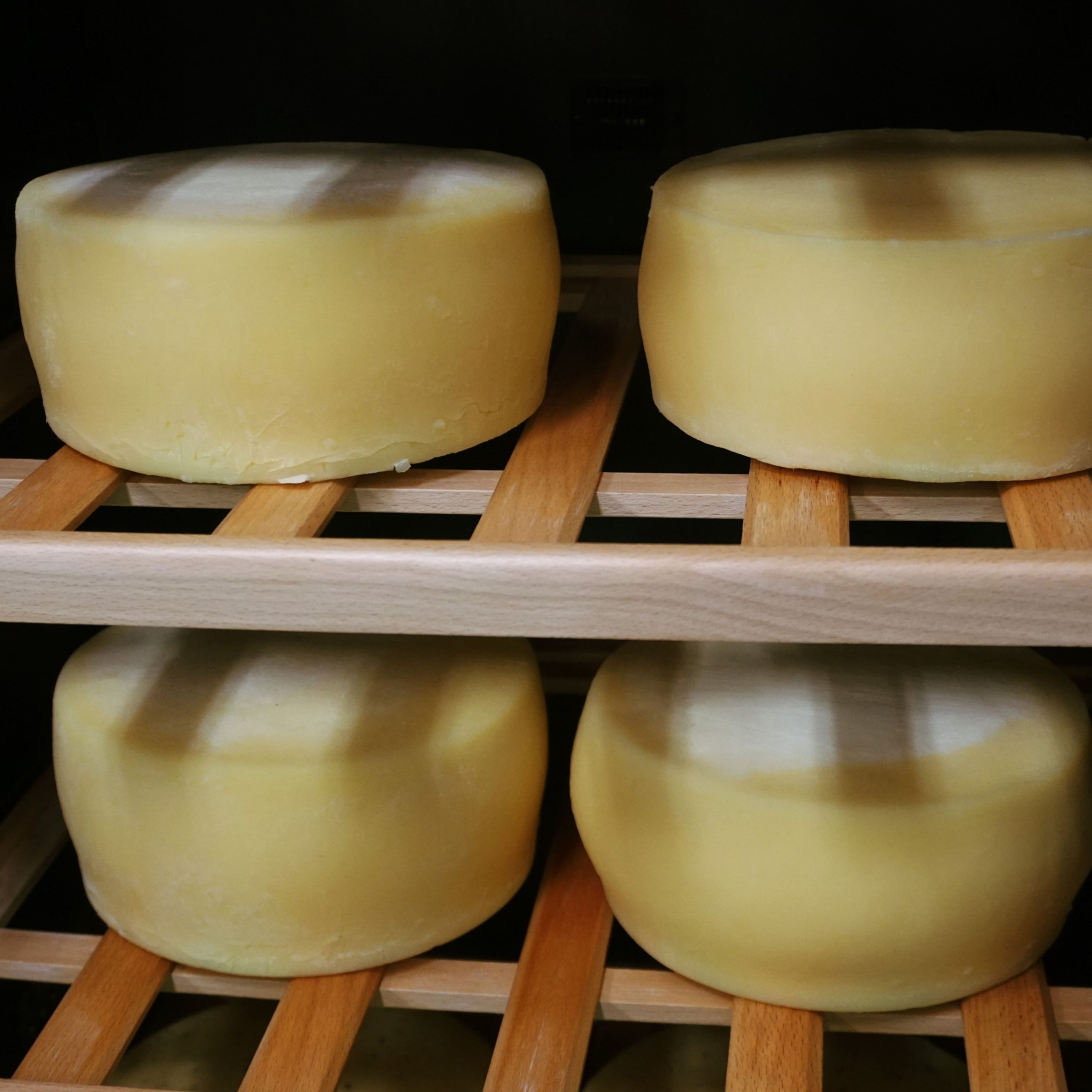 北海道 豊頃育ち まじめなチーズセット「夢みるく」手作りチーズ"北海道 十勝 豊頃町" 数量限定  送料無料