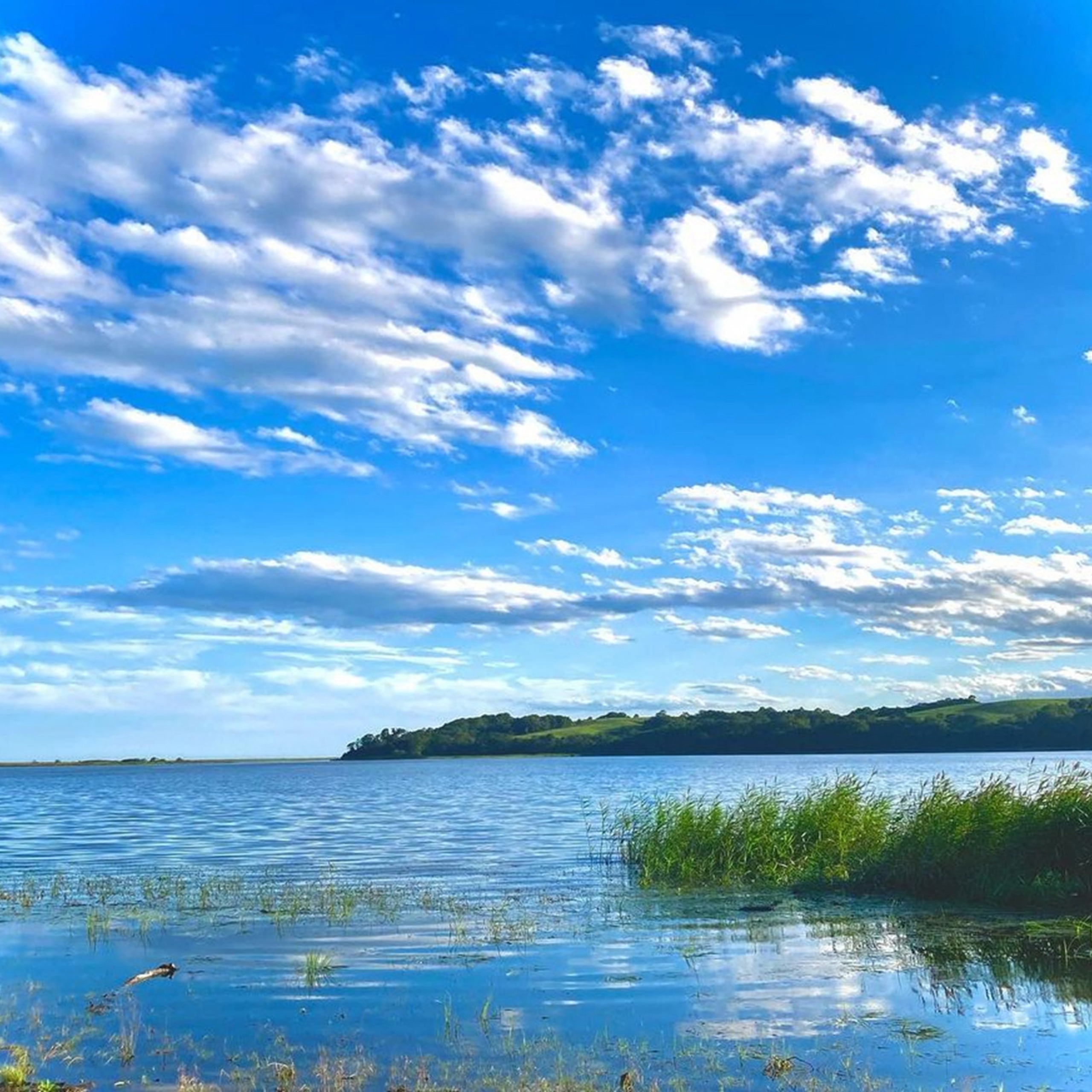 北海道十勝豊頃大津産 漁師手作りわかさぎの佃煮600g［中村水産］"北海道 十勝 豊頃町"