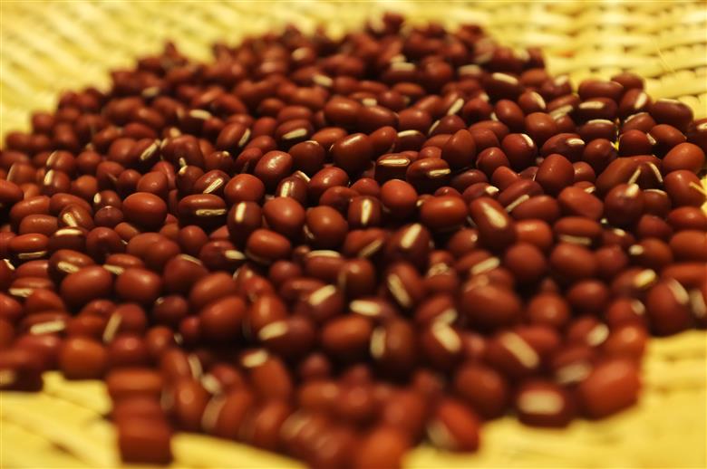 十勝豊頃産 小豆3.2kg(エリモショウズ)【2025年産】（先行受付）［松崎農場］"北海道 十勝 豊頃町"