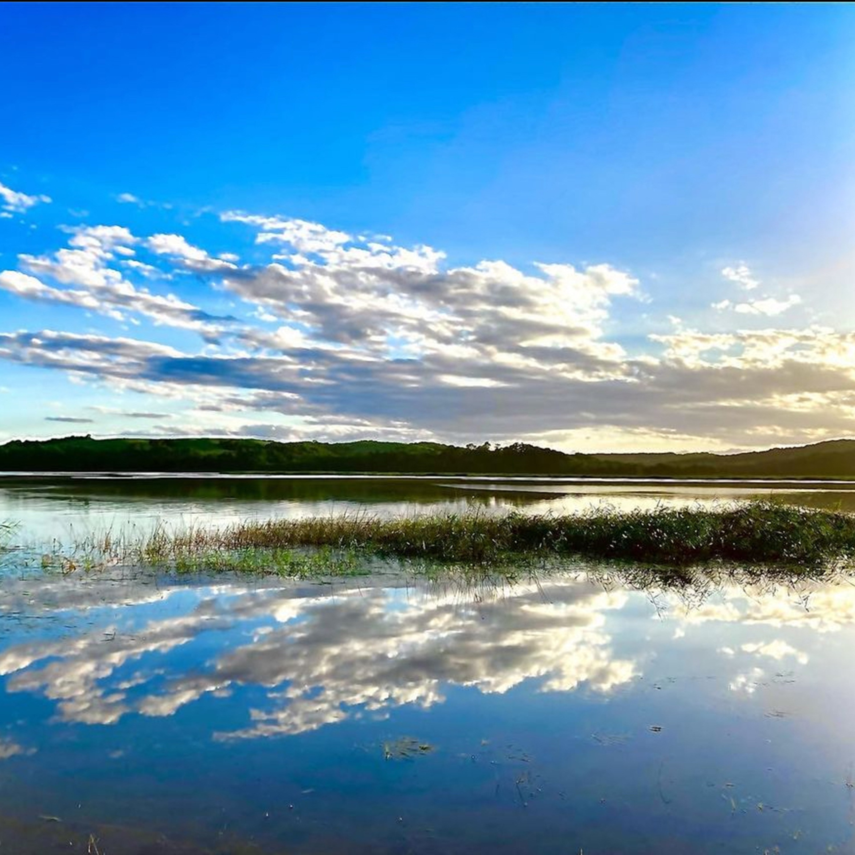 北海道十勝豊頃大津産 漁師手作りわかさぎの佃煮300g［中村水産］"北海道 十勝 豊頃町"