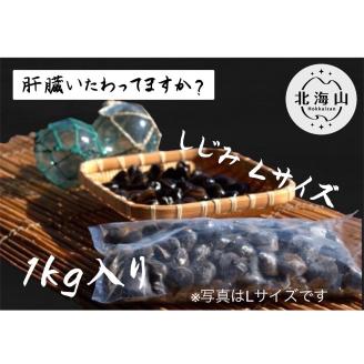 北海道豊頃産 しじみLサイズ１㎏［北海山］"北海道 十勝 豊頃町"
