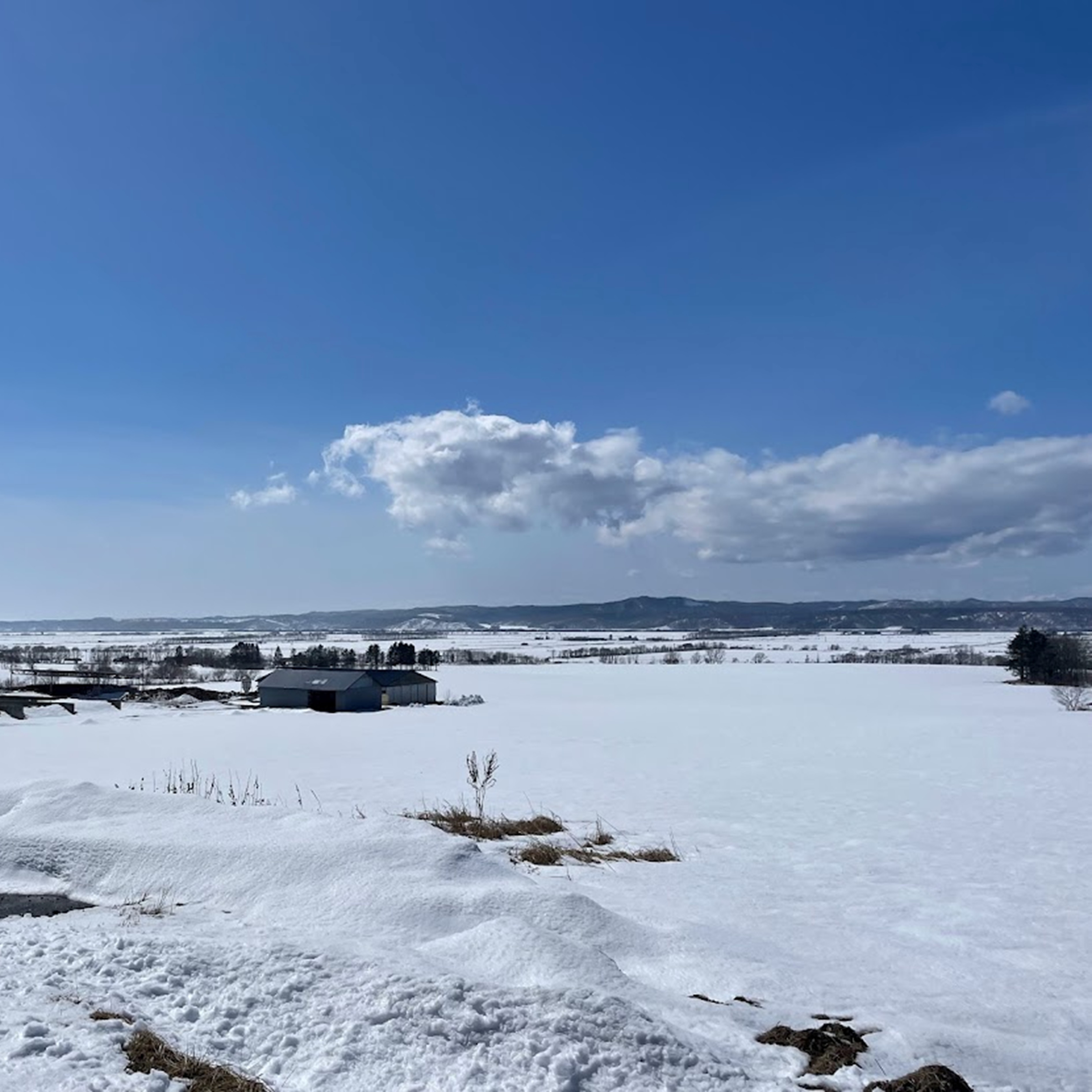 越冬十勝野じゃがいも詰合せセット10kg（きたあかり・メークイン）【2026年春出荷】（先行受付）［按田農場］"北海道 十勝 豊頃町"