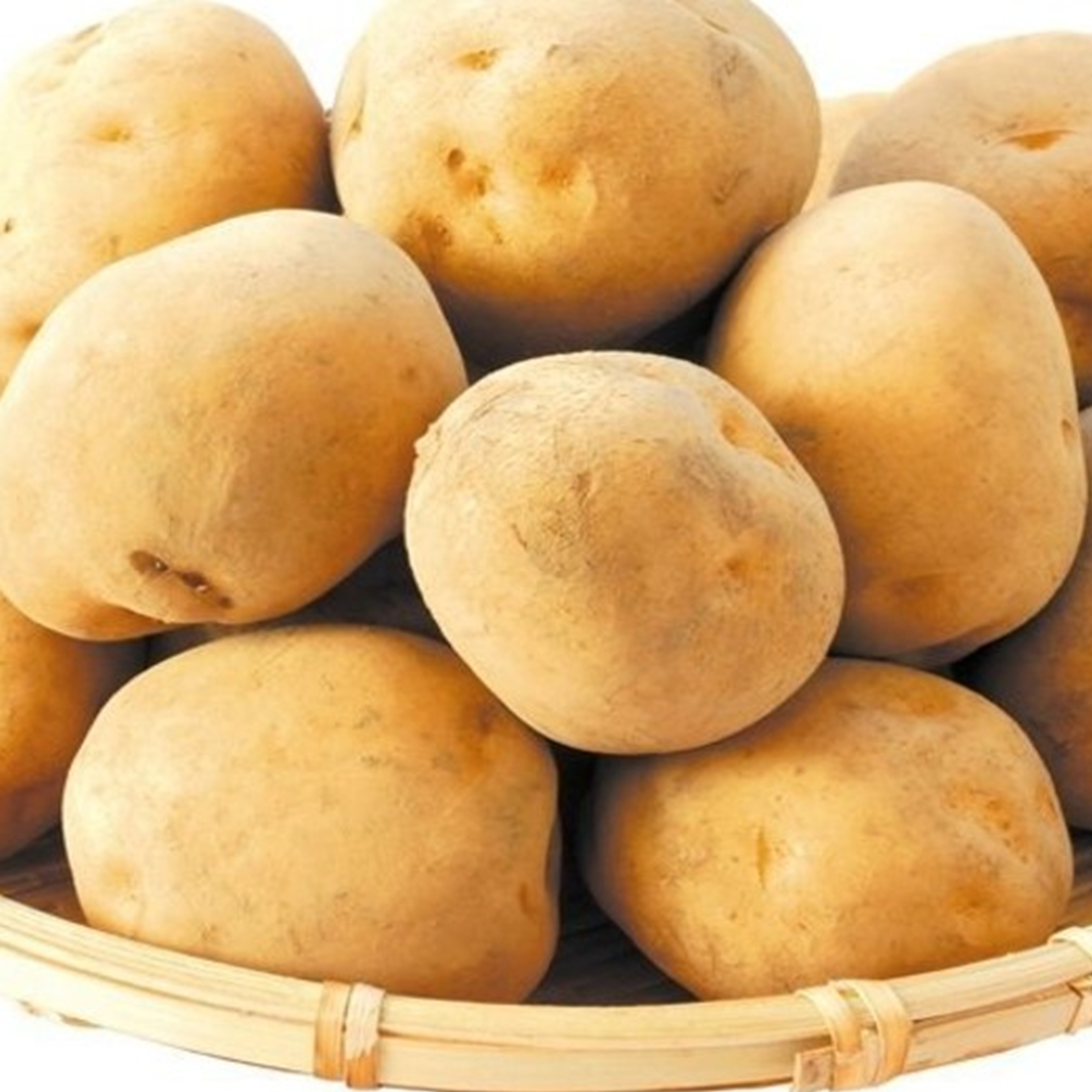 十勝の秋の味覚野菜詰め合わせ（南瓜・玉ねぎ・じゃがいも）セット【2026年秋出荷】（先行受付）】【工房みみずく】"北海道 十勝 豊頃町"