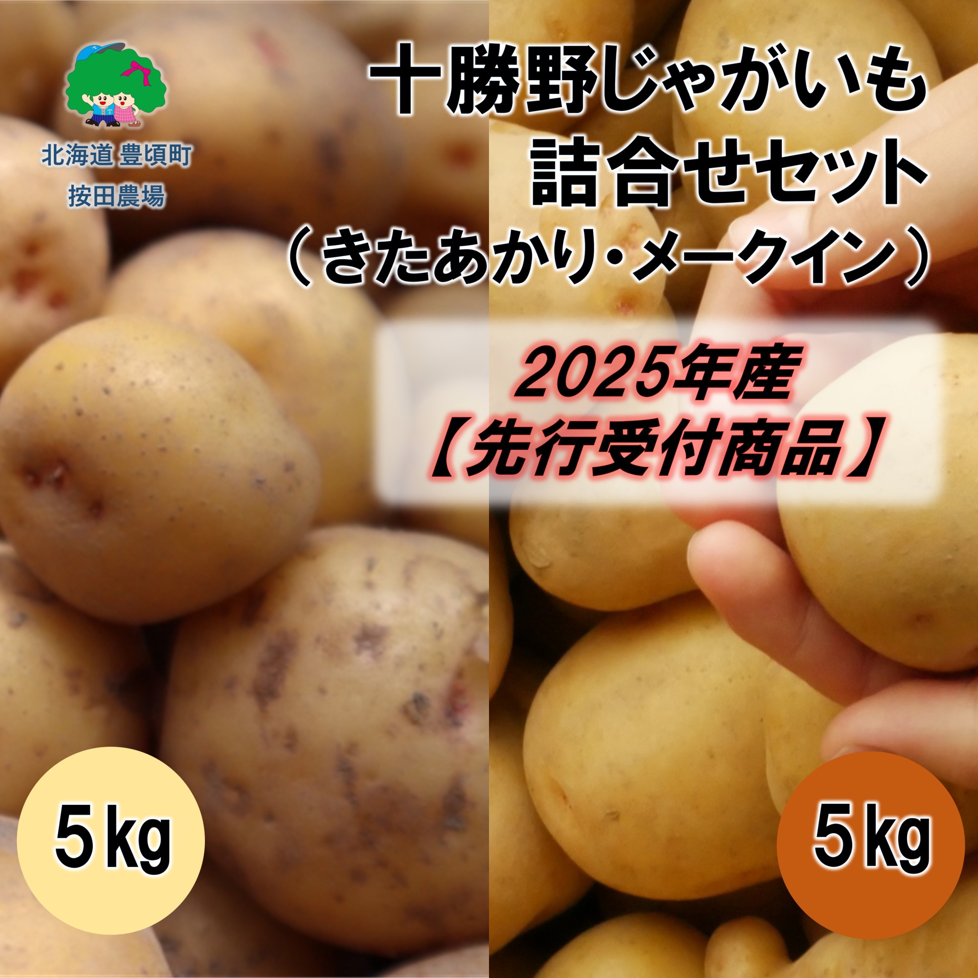 十勝野じゃがいも詰合せセット10kg（きたあかり・メークイン）【2025年産】（先行受付）［按田農場］"北海道 十勝 豊頃町"
