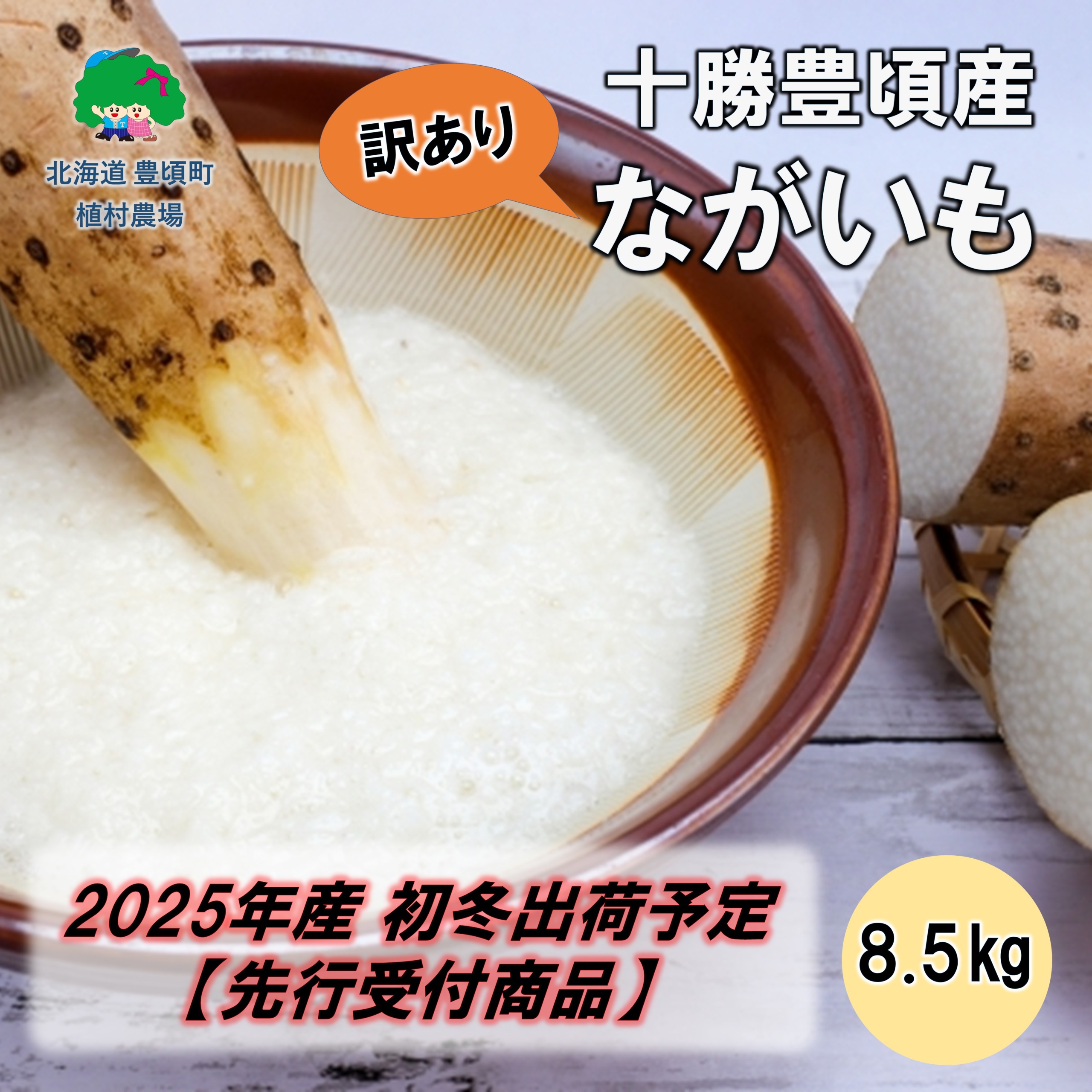 【訳あり】十勝豊頃産 ながいも8.5kg【2025年初冬出荷（先行受付）】【植村農場】"北海道 十勝 豊頃町"