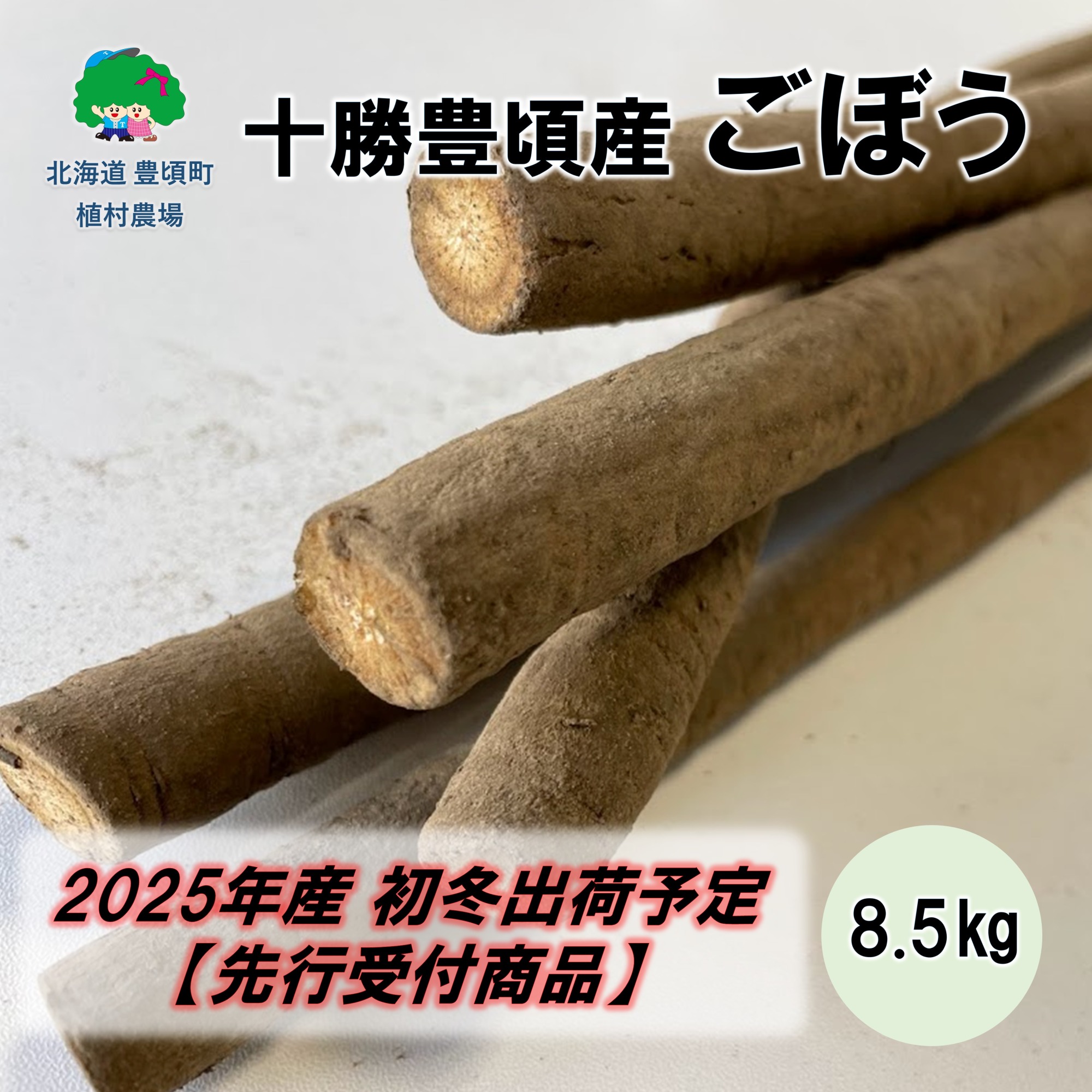 十勝豊頃産 ごぼう8.5kg【2025年初冬出荷（先行受付）】【植村農場】"北海道 十勝 豊頃町"