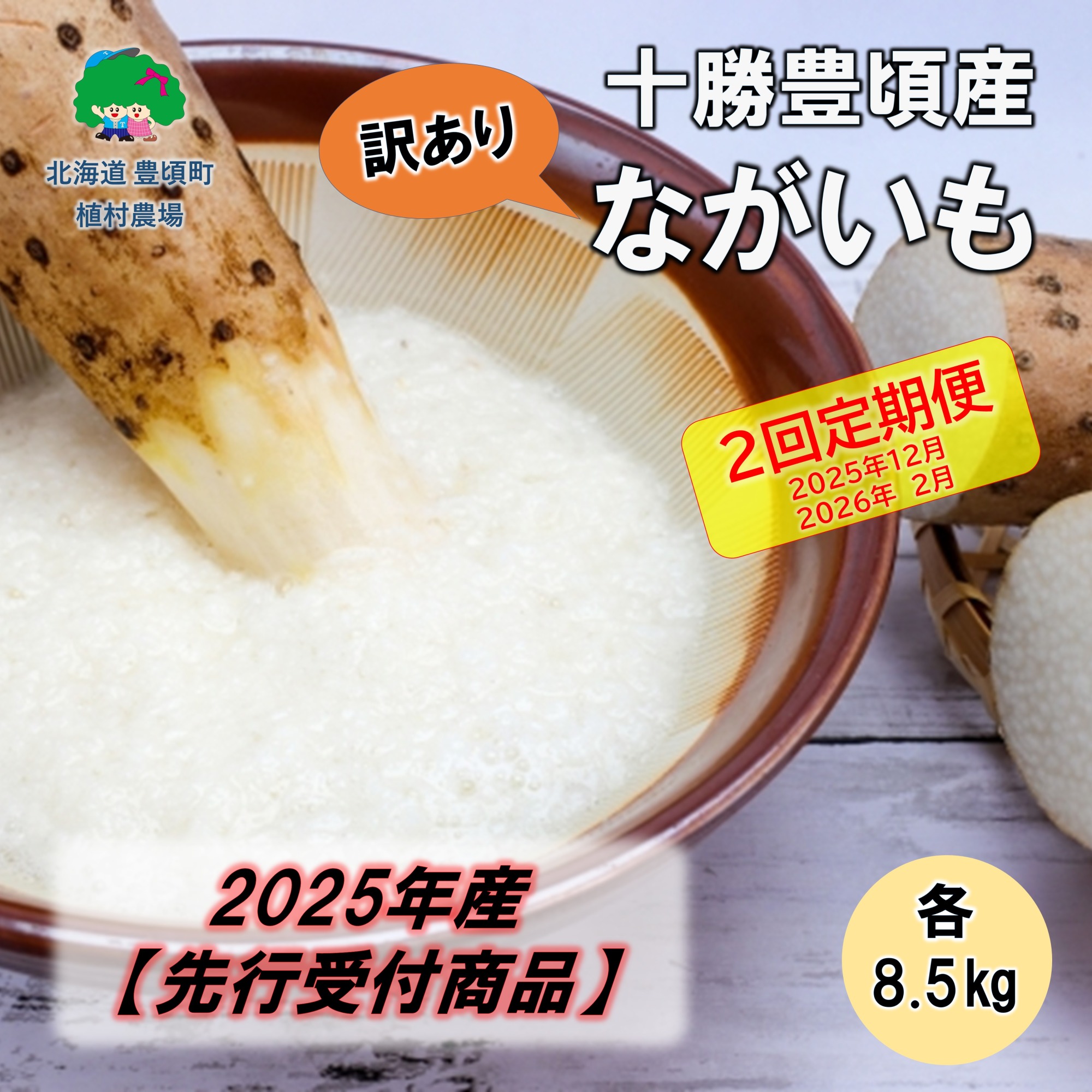 【訳あり】2025年産 十勝豊頃産 ながいも 各8.5kg【2回定期便 2025年12月･2026年2月発送】（先行受付）【植村農場】"北海道 十勝 豊頃町"