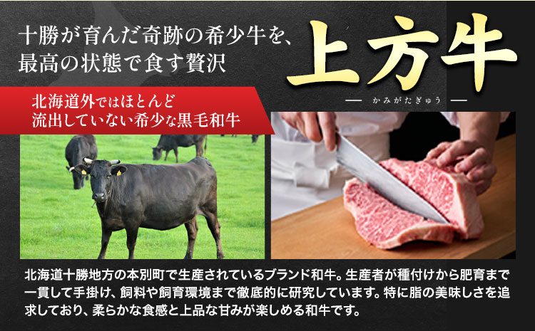 十勝産 黒毛和牛 上方牛100％ ハンバーグ 3個 300g 100g×3枚 上方牧場《30日以内に出荷予定(土日祝除く)》北海道 本別町 肉 おかず 送料無料---hsh_fkkbjhb_30d_25_10000_300g---