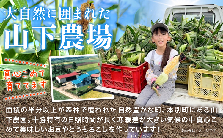 玉ねぎ 10kg 北もみじ2000 山下農場《9月中旬-10月末頃出荷》 北海道 本別町 たまねぎ タマネギ 万能 北海道産---hsh_ynbksk_bc910_26_7500_10kgktm---