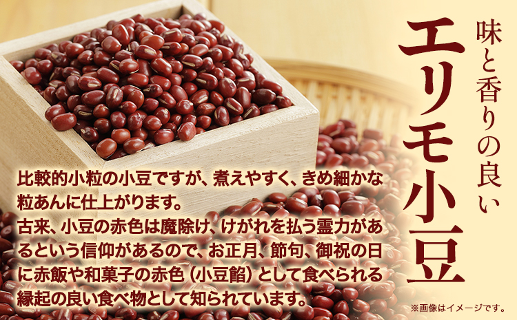 令和６年産 北海道十勝 本別町産 エリモ小豆 4kg 本別町農業協同組合《30営業日以内に順次出荷(土日祝除く)》北海道 本別町 豆 小豆 あずき 小豆茶 あずき茶 送料無料---hsh_hnkes_30d_24_13000_4kg---