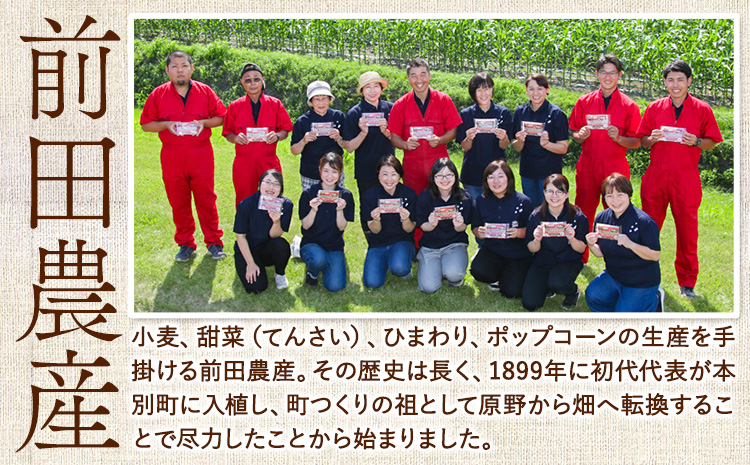 北海道十勝前田農産パン用小麦粉「はるきらり」(1kg×10袋) 有限会社 十勝太陽ファーム 《60日以内に出荷予定(土日祝除く)》---hsh_tmhkkm_60d_23_25000_10kg---