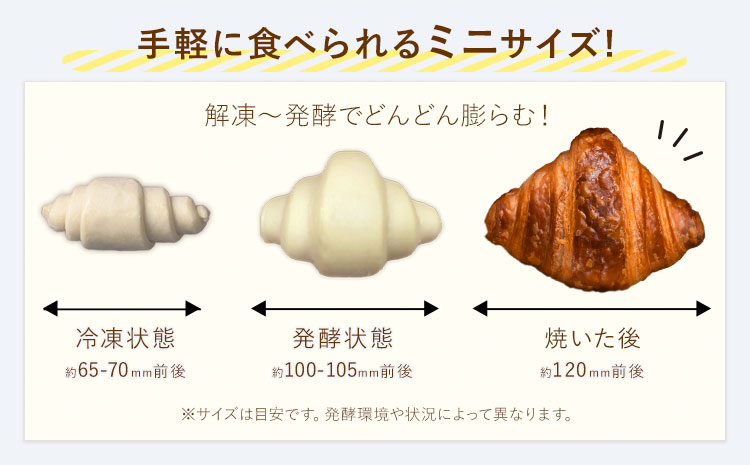 ミニクロワッサン 25個 セット パン ローカルベーカリー《7-14営業日以内に出荷予定(土日祝除く)》急速冷凍 手作り 朝ごはん おやつ 軽食 ランチ 北海道 本別町---hfn_flbmc_wx_25_5500_25p---