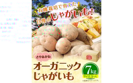 北海道十勝オーガニックじゃがいも7kgサイズS-2L《10月下旬-3月中旬頃出荷》オフイビラ源吾農場さやあかね負箙源吾農場---hsh_cogopt_h103_24_9500_7kg---