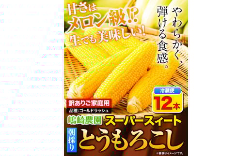 【先行予約】朝採りとうもろこし スーパースィート 「ゴールドラッシュ」 訳あり ご家庭用 12本 《8月上旬-8月末頃出荷》嶋崎農園 ---hsh_csfoni_ad89_25_8000_12p---
