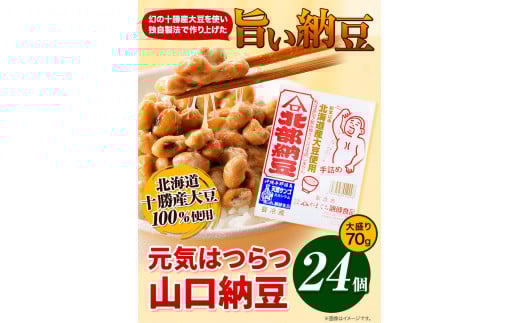 元気はつらつ山口納豆!!(70g24個入り) 有限会社やまぐち醗酵食品 《60日以内に出荷予定(土日祝除く)》 山口納豆 ---hsh_fyhghyn_60d_23_13500_24p---