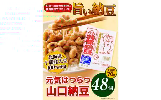 元気はつらつ山口納豆!!(70g48個入り) 有限会社やまぐち醗酵食品 《60日以内に出荷予定(土日祝除く)》 国産納豆 山口納豆---hsh_fyhghyn_60d_23_23500_48p---