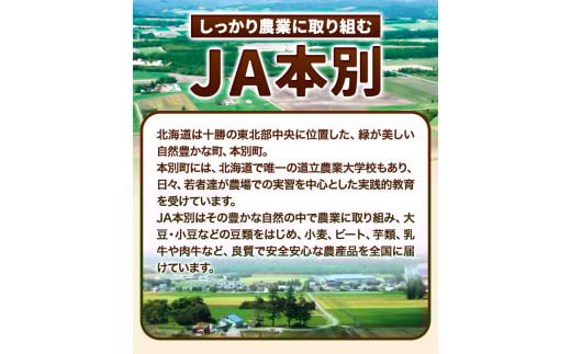 令和5年度産 北海道十勝 本別町産 金時豆 4kg 本別町農業協同組合《60日以内に出荷予定(土日祝除く)》 豆 ---hsh_hnkkm_60d_23_15000_4kg---st-p