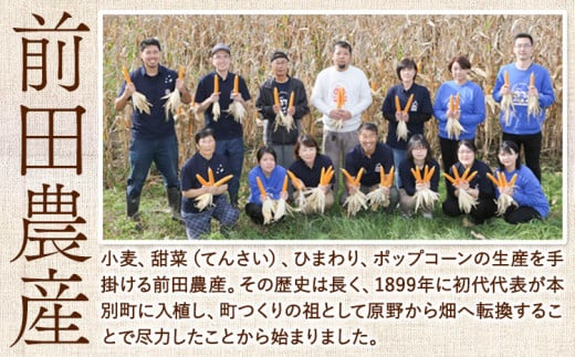 パン用小麦粉 キタノカオリ 北海道十勝 前田農産 10kg 有限会社 十勝太陽ファーム 《60日以内に出荷予定(土日祝除く)》---hsh_ttpkkk_60d_23_25000_10kg---st-p