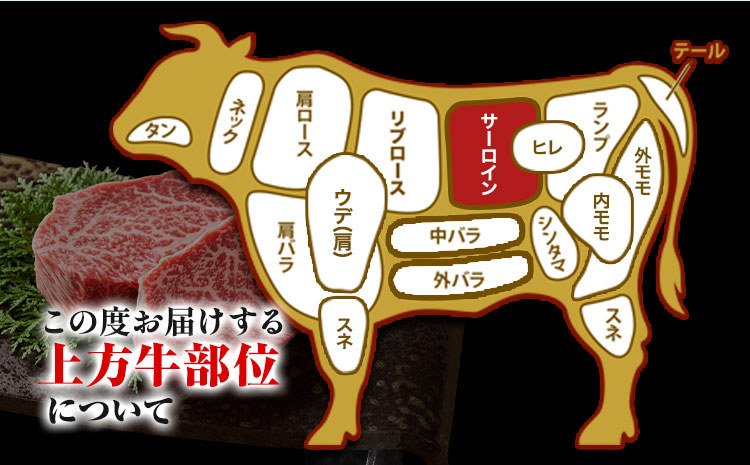 十勝産 黒毛和牛 上方牛 サーロインステーキ 400g(200g×2枚) 上方牧場《30日以内に出荷予定(土日祝除く)》北海道 本別町 肉 ステーキ サーロイン バーベキュー 送料無料---hsh_fkkbjsl_30d_25_25500_400g---