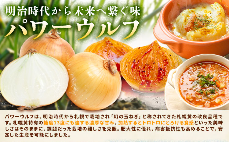 玉ねぎ 10kg パワーウルフ 山下農場《9月中旬-10月末頃出荷》 北海道 本別町 たまねぎ タマネギ 万能 北海道産---hsh_ynbksk_bc910_26_7500_10kgpw---