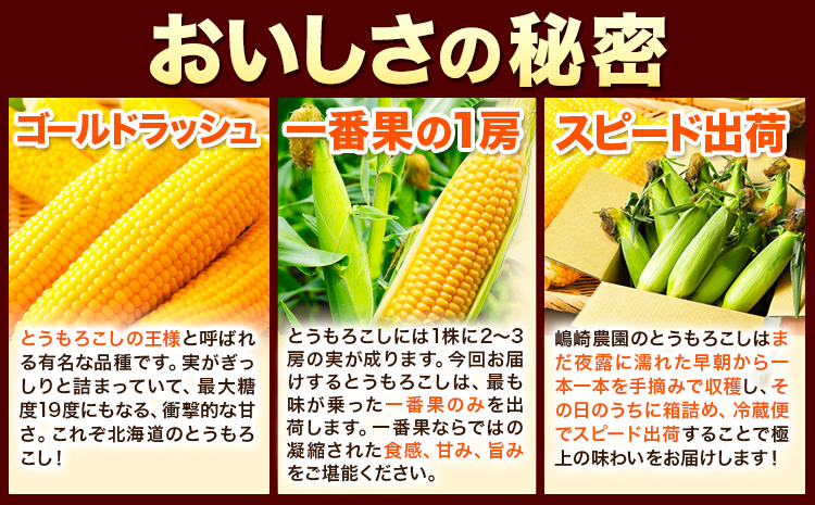 【先行予約】朝採りとうもろこし スーパースィート 「ゴールドラッシュ」 特大サイズ 20本(1本380g以上) Lサイズ 《8月中旬-9月中旬頃出荷》---hsh_csfoni_ad89_25_12500_20p---