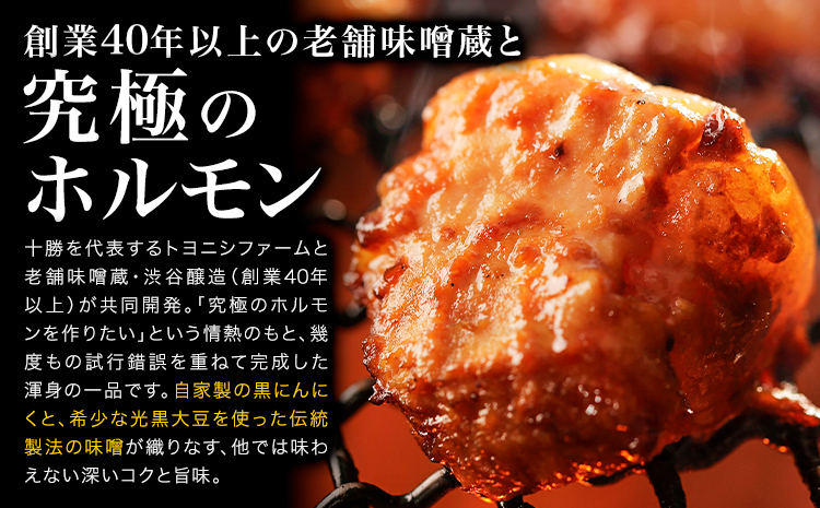 豊西牛 黒にんにくみそホルモン 800g (200g×4袋) トヨニシファーム 《60日以内に出荷予定(土日祝除く)》---hsh_ftyknmho_60d_23_12000_800g---