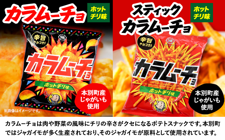 『湖池屋 ポテトチップス＆ 柳月 三方六小割』セット 本別町観光協会 《60日以内に出荷予定(土日祝除く)》 ポテト ポテトチップス---hsh_chkkprs_60d_23_12500_4i---