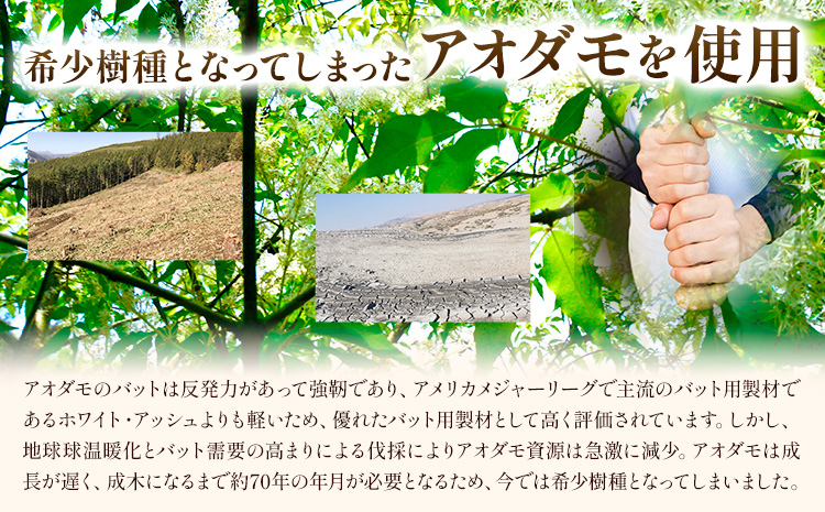 実打から記念品まで広範な用途！「アオダモ 野球用オーダーバット」　名入れ可　やきゅう 記念品 贈り物 野球 バット アオダモ 文字入り ---hsh_hkabob_3mt_23_60000_1p---