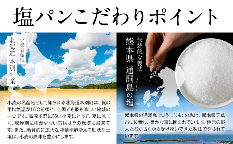 天然酵母 塩パン 10個 セット パン ローカルベーカリー《7-14営業日以内に出荷予定(土日祝除く)》焼きたてを急速冷凍 手作り 天然酵母パン 朝ごはん おやつ 軽食 ランチ 北海道 本別町---hfn_flbsp_wx_25_7000_10p---