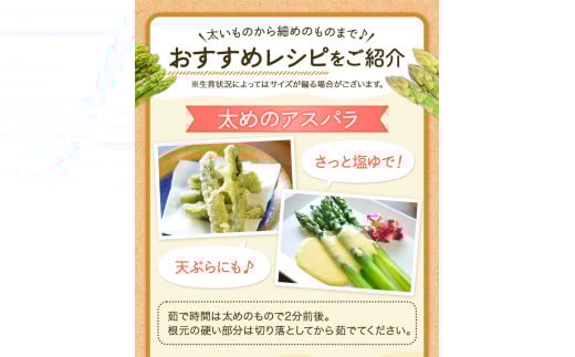 北海道十勝 露地栽培 朝採り直送「季節限定！朝採りアスパラ 1.2kg」本別町農業協同組合 先行予約 アスパラガス 露地 ---hsh_caspara_q5_23_10500_1200g---st-p
