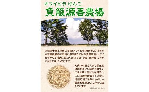 北海道十勝オーガニックじゃがいも7kgサイズS-2L《10月下旬-3月中旬頃出荷》オフイビラ源吾農場さやあかね負箙源吾農場---hsh_cogopt_h103_24_9500_7kg---