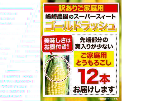 【先行予約】朝採りとうもろこし スーパースィート 「ゴールドラッシュ」 訳あり ご家庭用 12本 《8月上旬-8月末頃出荷》嶋崎農園 ---hsh_csfoni_ad89_25_8000_12p---
